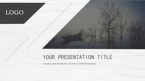 Чистый бизнес Шаблоны презентаций PowerPoint