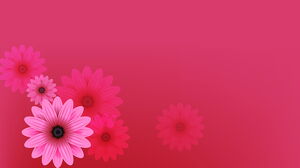 พื้นหลัง PPT ดอกไม้สีชมพูสวยงาม