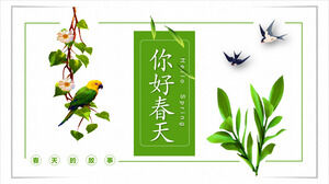 Plantă verde, rândunică, papagal, fundal mic proaspăt, salut, primăvară, șablon PPT