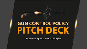 Politica de control al armelor Pitch Deck