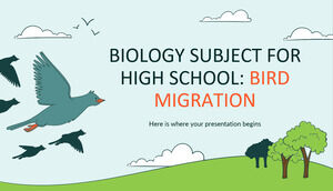 Biologia Materia per la scuola superiore: la migrazione degli uccelli