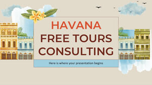 La Habana Free Tours Consulting
