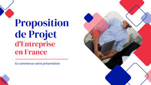 Fransız İş Projesi Önerisi