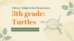 Научный предмет для начальной школы - 3 класс: черепахи