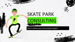 Consultanta Skate Park