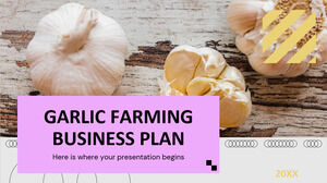 Plan de afaceri pentru cultivarea usturoiului