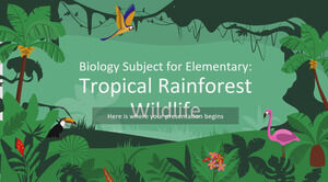 Предмет биологии для начальной школы: дикая природа тропических лесов.