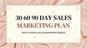 30 60 90 天 - 销售营销计划