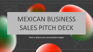 멕시코 비즈니스 영업 홍보 자료