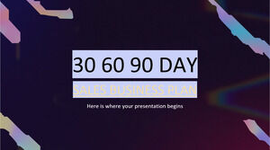 30 60 90 de zile - Plan de afaceri de vânzări