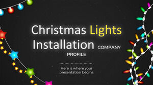 Christmas Lights Installation Company