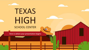 Teksas Lise Merkezi