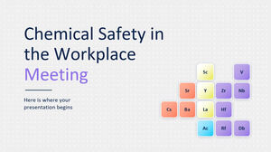 Întâlnirea privind siguranța chimică la locul de muncă