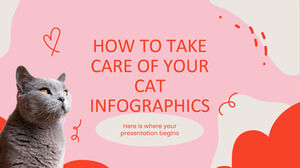 Cum să ai grijă de infografica pisicii tale