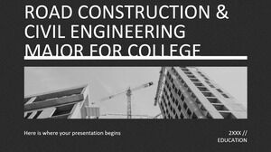 Constructii de drumuri și inginerie civilă pentru facultate