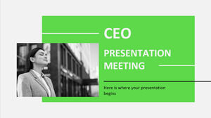 Spotkanie prezentacyjne CEO