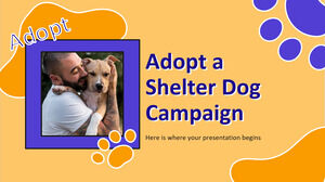Adoptieren Sie eine Kampagne für Schutzhunde