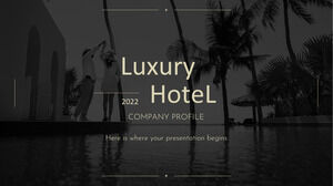 Profil de l'entreprise hôtelière de luxe
