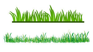 ناقلات المواد العشب الأخضر PPT التعبئة والتغليف والتحميل