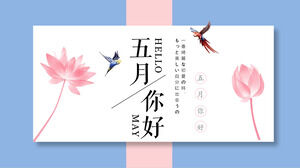 Ciao maggio con il download del modello PPT di sfondo rosa di loto e uccello