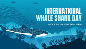 Международный день китовой акулы