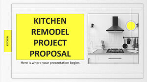 厨房改造项目提案