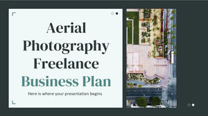 Piano aziendale freelance per la fotografia aerea