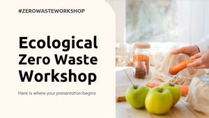 Экологический семинар Zero Waste