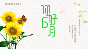 Halo, latar belakang bunga matahari dan kupu-kupu. Unduh template PPT Juni