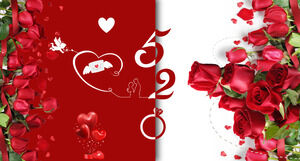 Kırmızı Gül Arka Plan ile Romantik 520 Sevgililer Günü PPT Şablon İndir