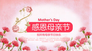 pembe Dianthus caryophyllus arka plan ile Şükran Günü Anneler Günü için PPT şablonu