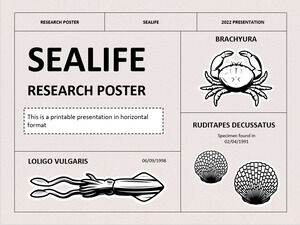 Poster di ricerca Sealife