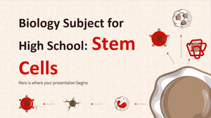 Biologiefach für die Oberstufe: Stammzellen