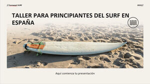 스페인 서핑 초보자 워크샵