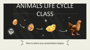 Klasse über den Lebenszyklus von Tieren
