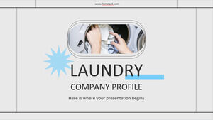 Perfil de la empresa de lavandería