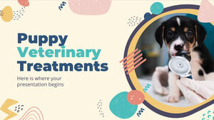 Puppy Veterinary Treatments