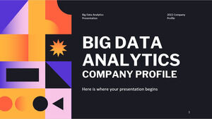 Profilul companiei Big Data Analytics