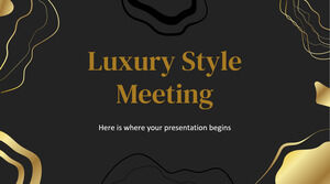 Luxury Style Meeting