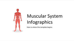 肌肉系統信息圖表