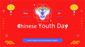 يوم الشباب الصيني