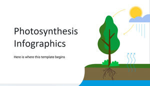 Infografica di fotosintesi