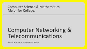 Informatică și Matematică Major pentru colegiu: Rețele de calculatoare și telecomunicații