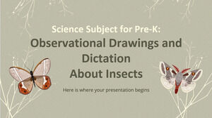Naturwissenschaftliches Fach für die Vorschule: Beobachtungszeichnungen und Diktate über Insekten