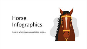Infographie du cheval