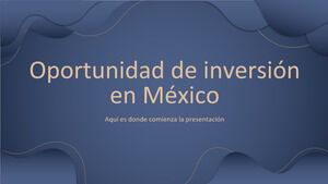 Investment Opportunity in Mexico