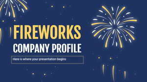 Profilo aziendale di fuochi d'artificio