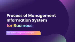 業務管理信息系統流程