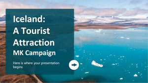 Iceland: a Tourist Attraction MK Campaign
