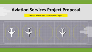 Propozycja projektu usług lotniczych